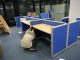 Công nhân tháo dỡ bàn ghế, đồ đạc để chuyển văn phòng